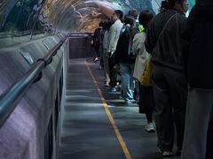 -大连圣亚海洋世界