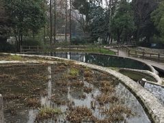 -成都市活水公园