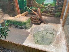 -上海大自然野生昆虫馆