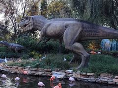 -北京野生动物园