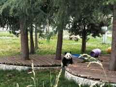 -西安秦岭野生动物园