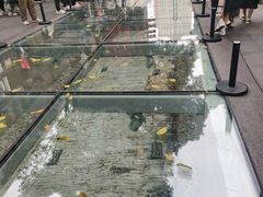 -北京路步行街-千年古道遗址