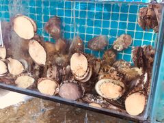 -范饭椰林川湘味海鲜·椰子鸡(三亚湾椰梦长廊店)