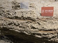 -敦煌市博物馆