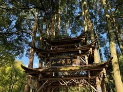 -青城山