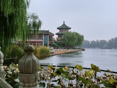 -后海公园