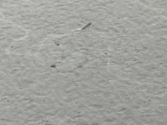 -普陀山风景名胜区-千步大沙