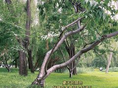 -元大都城垣遗址公园