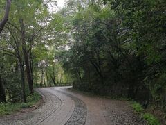 -紫金山天文台