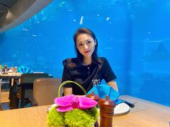 -海棠湾洲际-涛·海底餐厅·美人鱼·自助餐·海底隧道