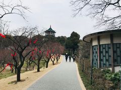 -无锡梅园公园