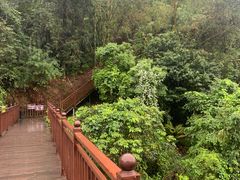 -广东天露山旅游度假区
