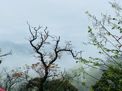 -青城山