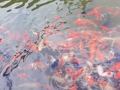 -白鹿原·白鹿仓
