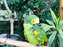 -南宫五洲植物乐园