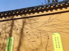 -西园戒幢律寺