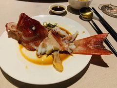 -上海外滩英迪格酒店