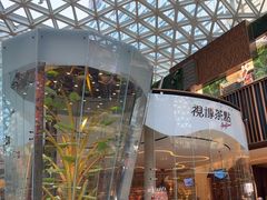 -视博茶点(美狮美高梅店)