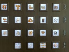 -南京中医药大学(仙林校区)