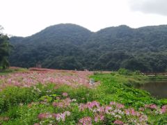 -广州市石门国家森林公园