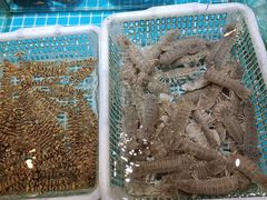 -梦都海鲜酒家(万达广场江桥店)