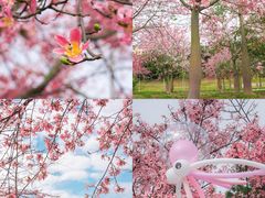 -风云岭森林公园