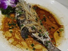 -瑞琳阿尔泰冷水鱼(康源财富中心店)