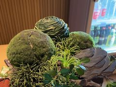 -艺水间水汇