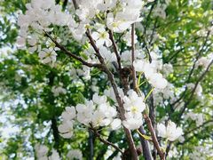 -长春公园(普阳街道)