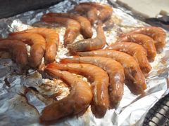 -吴淞炮台湾湿地森林公园烧烤区