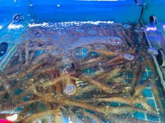 -金海湾海鲜排档(朱家尖店)