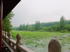 -泗洪洪泽湖湿地景区