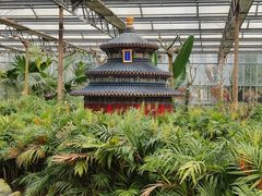 -南宫五洲植物乐园