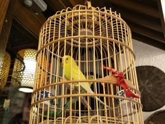 -京城小江南·北京烤鸭·江南土菜·白鱼(中关村店)