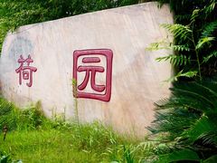 -建华生态湿地百荷园