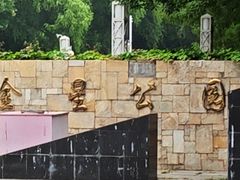 -金星公园