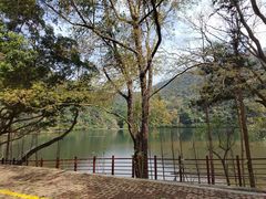 -广州市石门国家森林公园