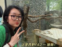 -青藏高原野生动物园