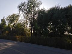 -鄂尔多斯野生动物园