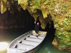 -怀托摩萤火虫洞