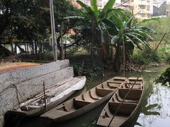 -小洲村