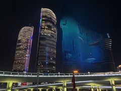 -演武大桥观景平台