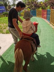 -萌宠亲子动物乐园(槐房万达店)