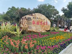 -大亚湾红树林城市湿地公园