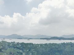 -湖畔居茶楼(湖滨店)