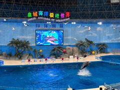 -泉城欧乐堡海洋极地世界