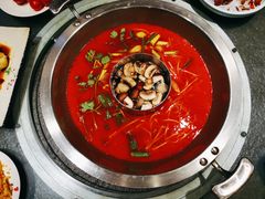 -不老溪贵州菜(广安门总店)