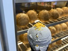 -蔻蔻椰·鲜萃椰子水(COCO Park店)