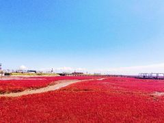 -红海滩国家风景廊道
