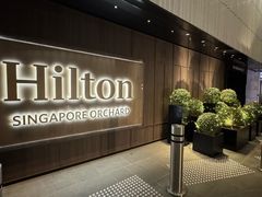 -新加坡乌节希尔顿酒店 (SG Clean)